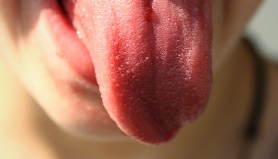 tongue