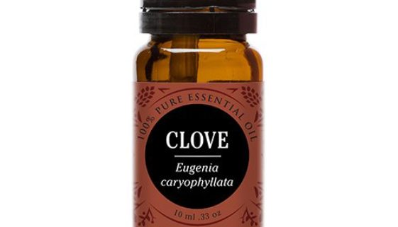 clove-oil
